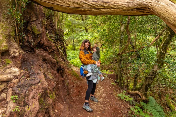 Жінка Син Дивляться Дерево Стежці Лісі Мохів Національного Парку Гарайонай — стокове фото