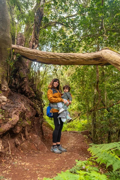 Äidin Pojan Muotokuva Puussa Polulla Garajonayn Kansallispuiston Sammalpuumetsässä Gomerassa Kanariansaarilla — kuvapankkivalokuva