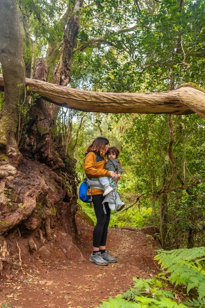 Portret Matki Syna Drzewie Szlaku Lesie Mszalnym Parku Narodowego Garajonay — Zdjęcie stockowe