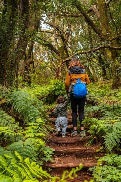Matka Syn Wspinający Się Schodach Szlaku Lesie Mszalnym Parku Narodowego — Zdjęcie stockowe