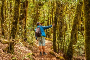 La Gomera, Kanarya Adaları 'ndaki ormanın doğal parkının Garajonay yolunda yürüyüş yapan bir adam. Yosunlu ağaçlar, Raso de la Bruma yolu ve Risquillos de Corgo