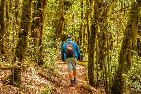 Homem Trekking Trilha Garajonay Parque Natural Floresta Gomera Ilhas Canárias — Fotografia de Stock