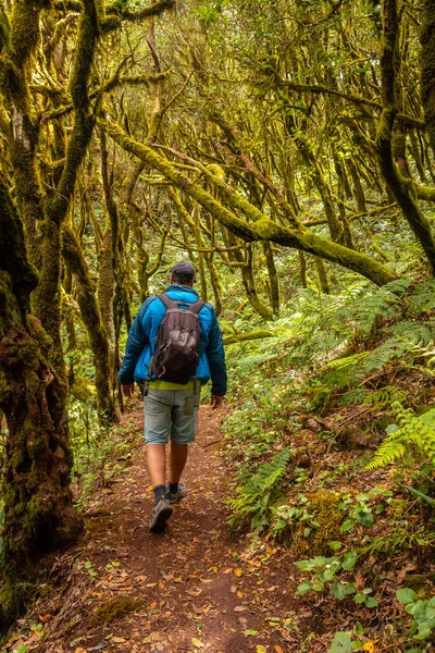 Homem Trekking Andando Nas Árvores Musgosas Floresta Úmida Garajonay Gomera — Fotografia de Stock