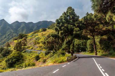 La Gomera, Kanarya Adaları 'nın kuzeyindeki Hermigua köyünde bir yol.
