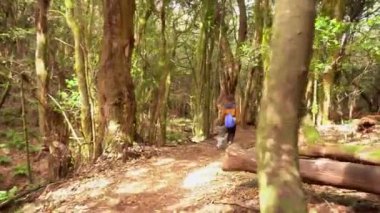 Garajonay Ulusal Parkı, La Gomera, Kanarya Adaları 'ndaki yosun ağacı ormanında Las Creces' e doğru yol alıyoruz.