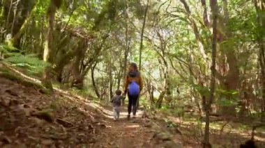 Anne ve oğlu, Kanarya Adaları 'ndaki Garajonay Ulusal Parkı' nın yosunlu ağaç ormanında yürüyor. Las Creces gezisinde.