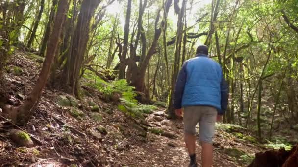 Man Garajonay Spår Parque Natural Del Bosque Gomera Kanarieöarna Trail — Stockvideo