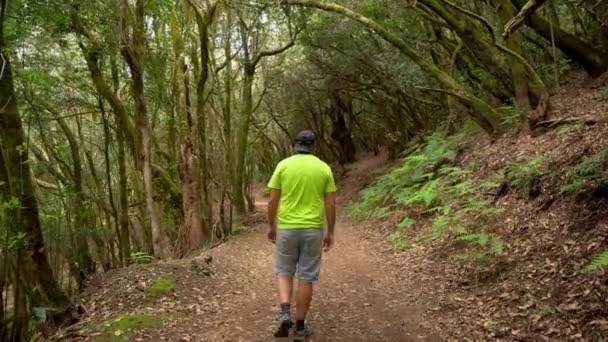 Mężczyzna Szlaku Mszalnym Lesie Parku Narodowego Garajonay Gomera Wyspy Kanaryjskie — Wideo stockowe