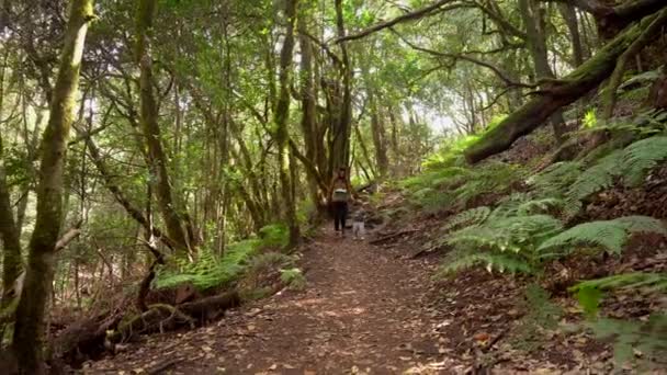 母と息子は ガラジョニー国立公園 ゴメラ カナリア諸島の苔むした木の森の中を歩いています クレセスへの遠足で — ストック動画