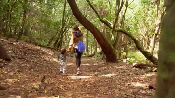 Madre Hijo Sendero Senderismo Bosque Musgos Del Parque Nacional Garajonay — Vídeo de stock