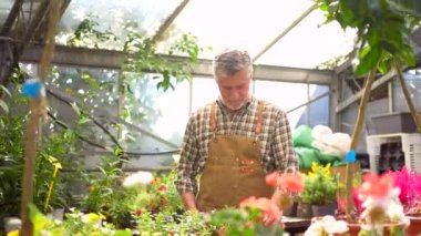 Bahçıvan ya da çiçekçi çiçek serasının içindeki bir fidanlıkta çalışıyor, bir klasörle envanter çıkarıyor.