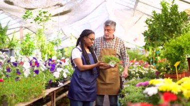 Usta bahçıvan, serada çiçek yetiştirmeyi öğretiyor. Gülümsüyor.