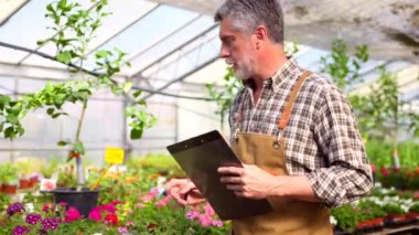 Bahçıvan çiçek serasının içindeki bir çocuk odasında çalışıyor, bir klasörle envanter çıkarıyor.