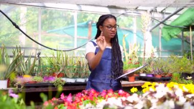 Zenci etnik kadın kreş çalışanı serada çiçek ve bitki sayımı yapıyor.