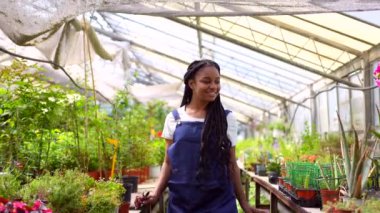 Siyah etnik köken kadın kreş işçisi çok mutlu ve serada çiçekler ve bitkiler arasında dans ediyor.