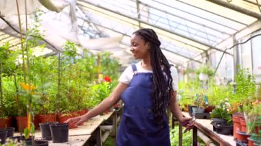 Siyah etnik köken kadın kreş işçisi çok mutlu ve serada çiçekler ve bitkiler arasında dans ediyor.