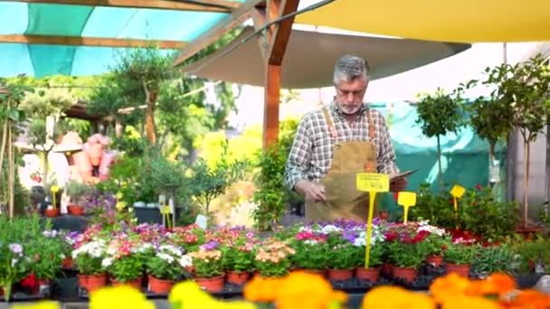 Kertész Dolgozik Egy Óvoda Belsejében Virág Üvegház Leltár Egy Mappát — Stock videók