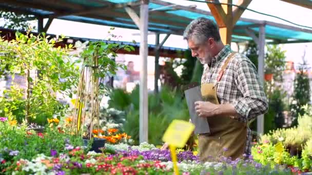 Jardinero Trabajando Vivero Dentro Del Invernadero Flores Haciendo Inventario Con — Vídeos de Stock
