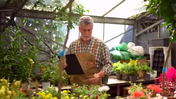정원사나 리스트가 묘목장에서 일하면서 노을에 폴더를 목록을 가지고 일한다 — 비디오