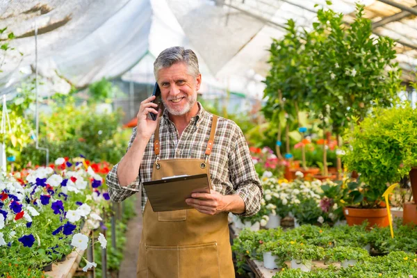 stock image Elderly gardener working in a nursery inside the flower greenhouse smiling making a call