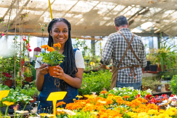 Schwarze Kindergärtnerin Mit Einem Blumentopf Voller Pflanzen Gewächshaus — Stockfoto
