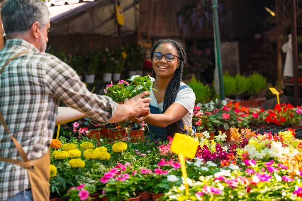 Glückliche Kundin Kauft Blumen Beim Gärtner Der Gärtnerei Gewächshaus — Stockfoto