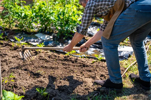 stock image Master gardener teaching student girl in greenhouse flower nursery cultivating the soil