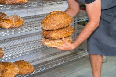 Esnaf fırınının atölyesinde fırından fırın ekmeği alan erkek fırıncı.