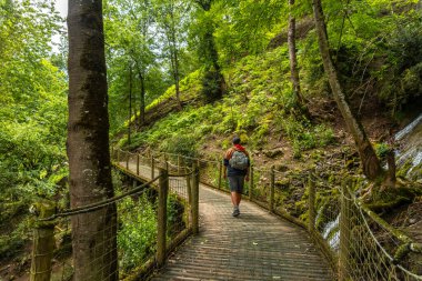 Fransız Pireneleri 'nin Borce komününde dağ yolunda bir erkek yürüyüşçü.