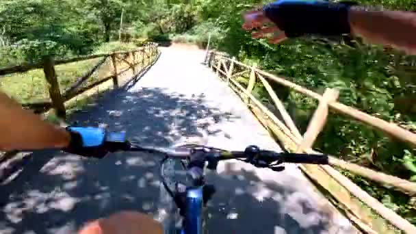 First Person View Mountain Bike Greenway Path Bicycles Beautiful Tunnel — Video Stock