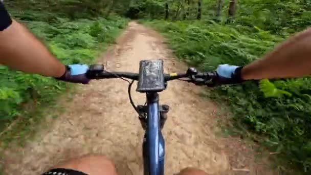 Gros Plan Cycliste Vtt Sur Sentier Montagne Pleine Nature — Video