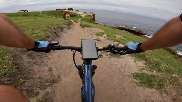 自然を楽しむ馬との沿岸パス上のマウンテンバイクのサイクリストのクローズアップ — ストック動画