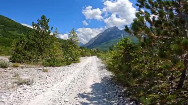 Trail Träd Valboradalen Vandring Till Theth Theth Nationalpark Albanska Alperna — Stockvideo