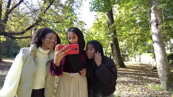 Багаторасова Група Молодих Жінок Використовуючи Мобільні Прогулянки Вздовж Парку Сонячний — стокове відео