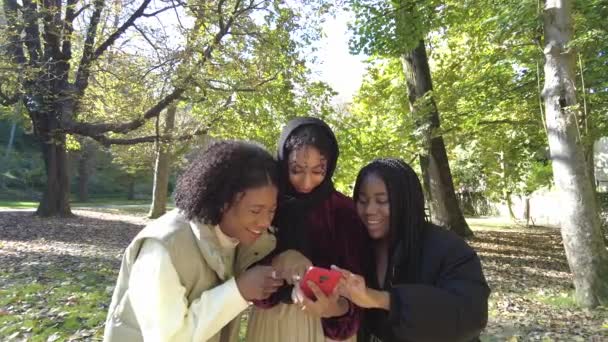 Giovani Donne Africane Amico Musulmano Fanno Selfie Parco — Video Stock