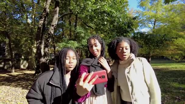 Afrikalı Amerikalı Arkadaşlar Parkta Selfie Çekerken Başarı Gösteriyorlar — Stok video