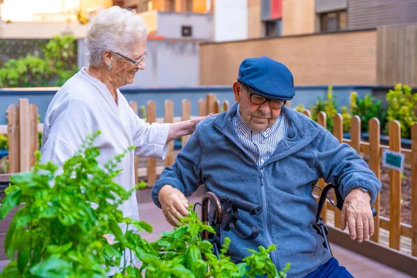 Elder people spending time in an urban garden in a geriatric