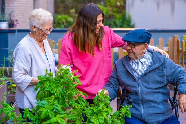Nurse working with elder people in a vegetable garden in a geriatric