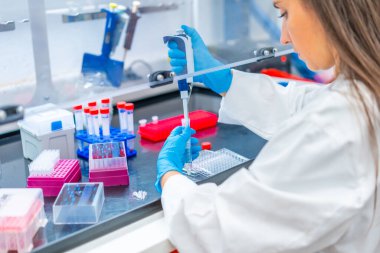Bir laboratuardaki dişi biyolog pip evcil hücrelerinin yakın plan görüntüsü.