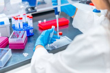 Doktor, kanser araştırma laboratuarındaki bir tepsiden pipetle örnek alıyor.
