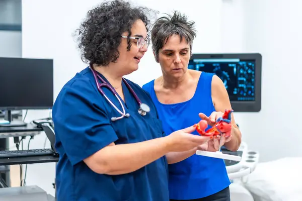 Female Cardiologist Providing Explanations Patient Using Model Human Heart — Stock Photo, Image
