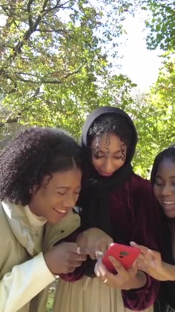Багаторасова Група Молодих Жінок Використовуючи Мобільні Прогулянки Вздовж Парку Сонячний — стокове відео