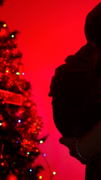 Silhouette Beautiful Pregnant Woman Decorating Christmas Tree Red Light — Stock Video