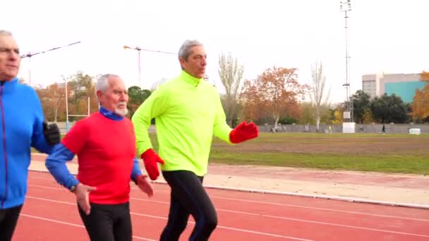Hombres Deportivos Senior Con Ropa Deportiva Colorida Corriendo Juntos Campo — Vídeo de stock