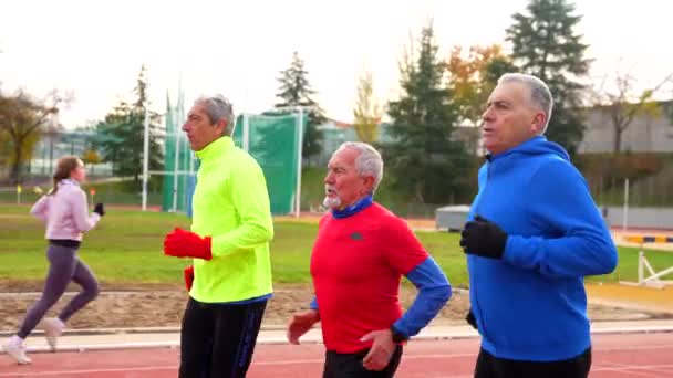 Senior Sportslige Mænd Med Farverige Sportstøj Kører Sammen Atletik Felt – Stock-video