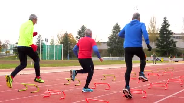 Groep Sportieve Senioren Die Winter Trainingselementen Een Hardloopbaan Buiten Voorbereiden — Stockvideo