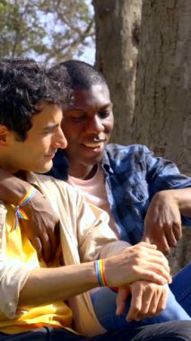 Parkta sessizce konuşan iki farklı ırktan eşcinsel adam, Igbt konsepti.