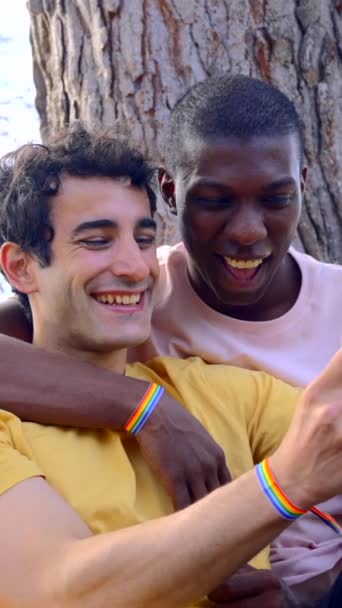 Couple Hommes Multiethniques Dans Parc Concept Lgbt Assis Côté Arbre — Video