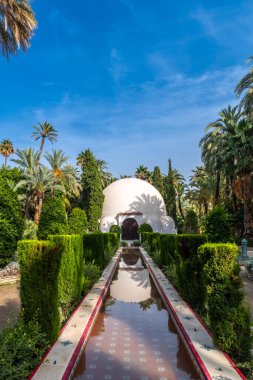 Elche şehrindeki Palm Grove parkında ziyaretçi merkezi binası ve çeşme. İspanya