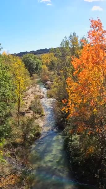 Der Fluss Vero Der Stadt Pozan Vero Den Pyrenäen Huesca — Stockvideo